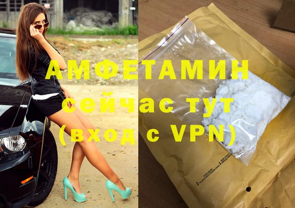 индика Алзамай