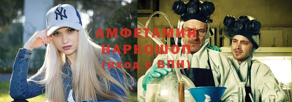 индика Алзамай