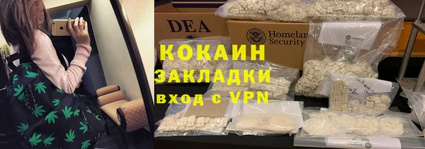 индика Алзамай