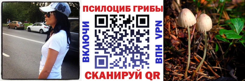 это состав  Звенигово  Галлюциногенные грибы GOLDEN TEACHER  kraken ТОР 